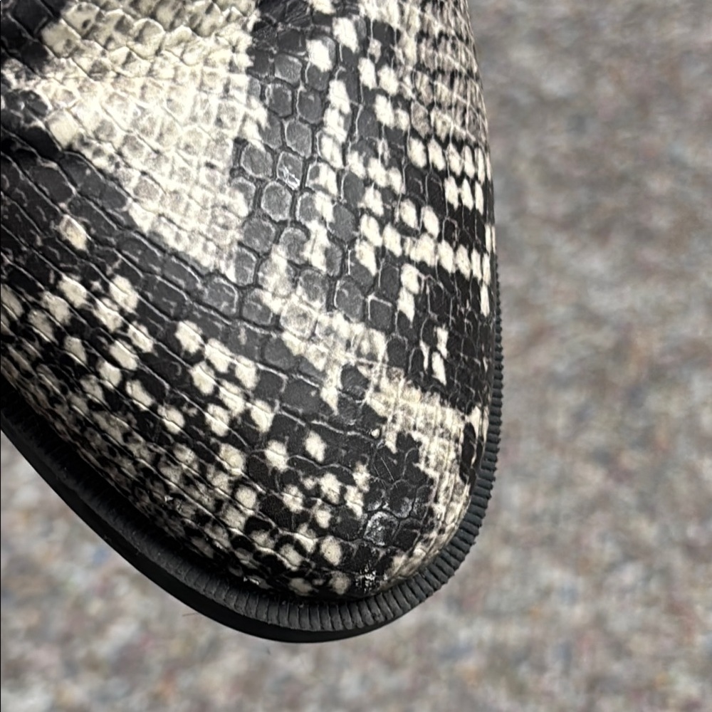 Steve Madden Devan Snakeskin Ankle Boots - Black and Grey - Picture 8 of 10